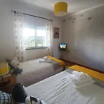 Em D'el Rey-obidos & Surf